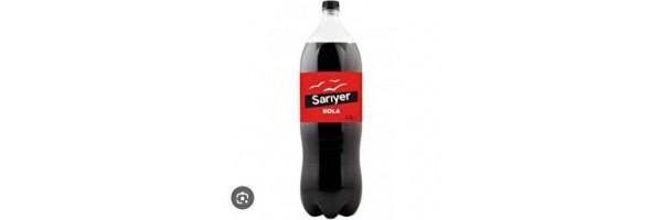 1 Lt.Cola SARIYER