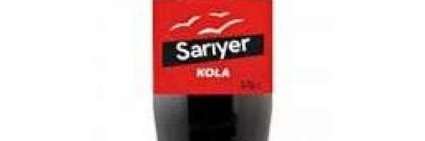 1 Lt.Cola SARIYER