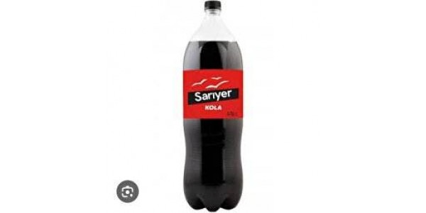 1 Lt.Cola SARIYER