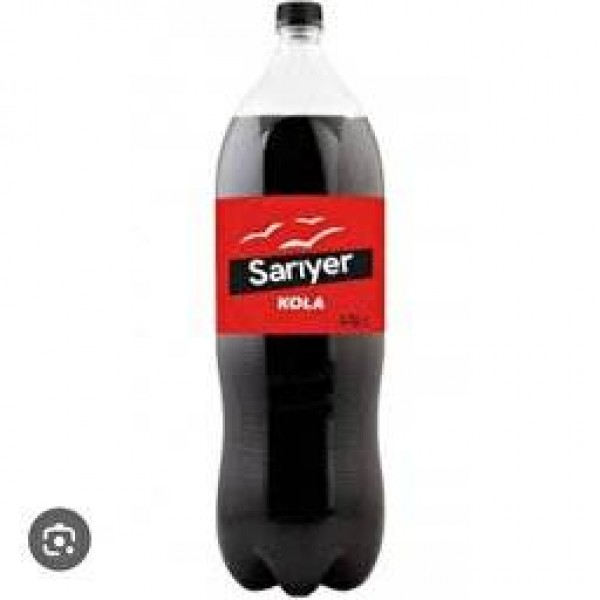 1 Lt.Cola SARIYER