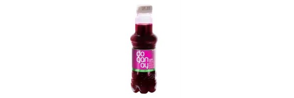 Şalgam Suyu ACISIZ  ( 300 ml )