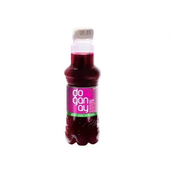 Şalgam Suyu ACISIZ  ( 300 ml )