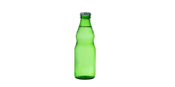 Meyveli Soda (20 cl.)