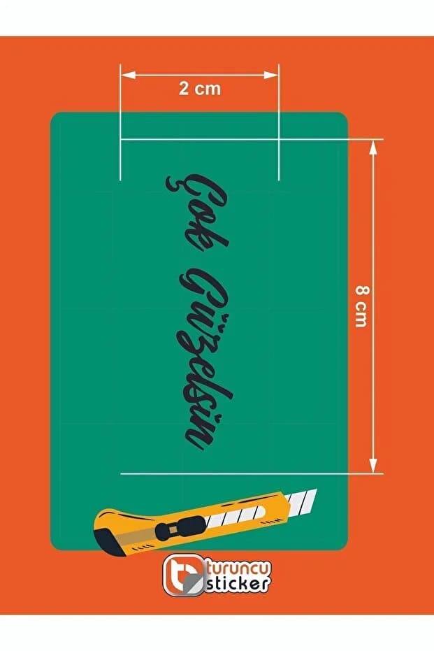 Çok güzelsin araba güneşlik ayna yazısı sticker 8x2cm